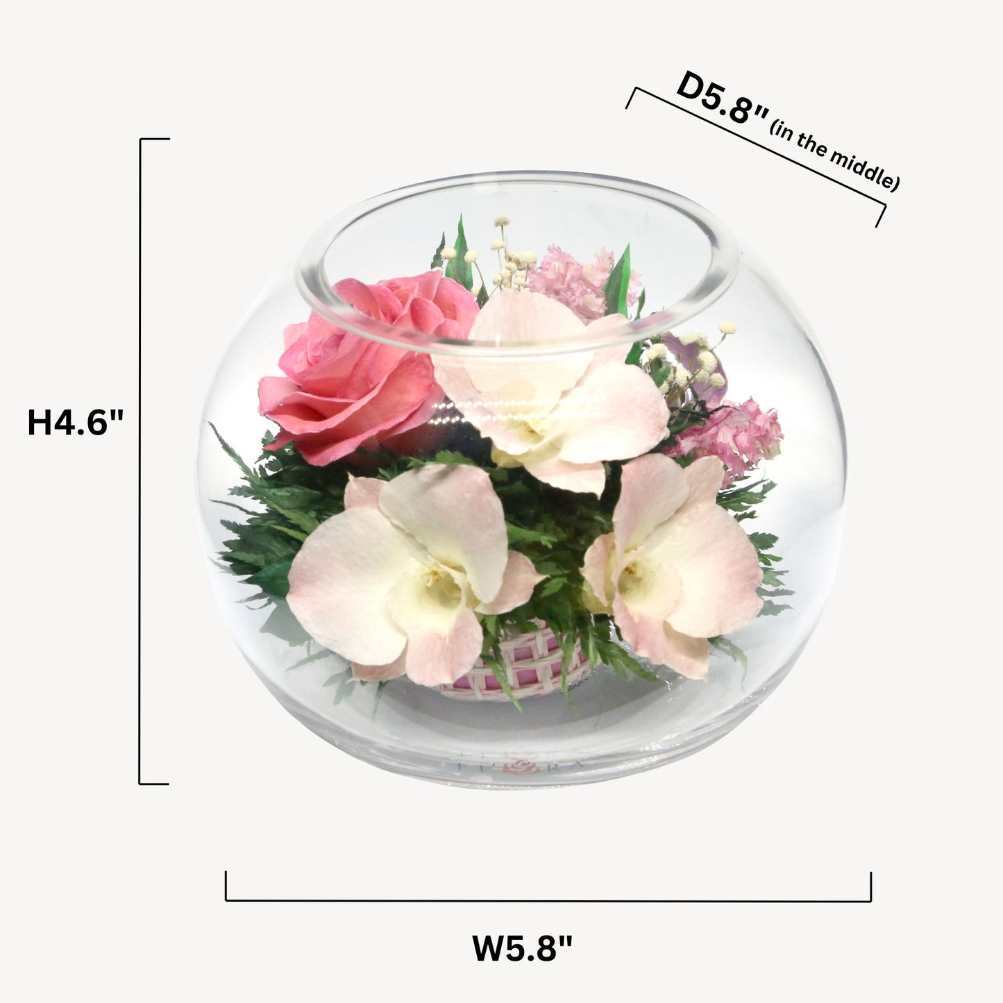 Harmony in Bloom: Eternal Pink Roses and Orchids