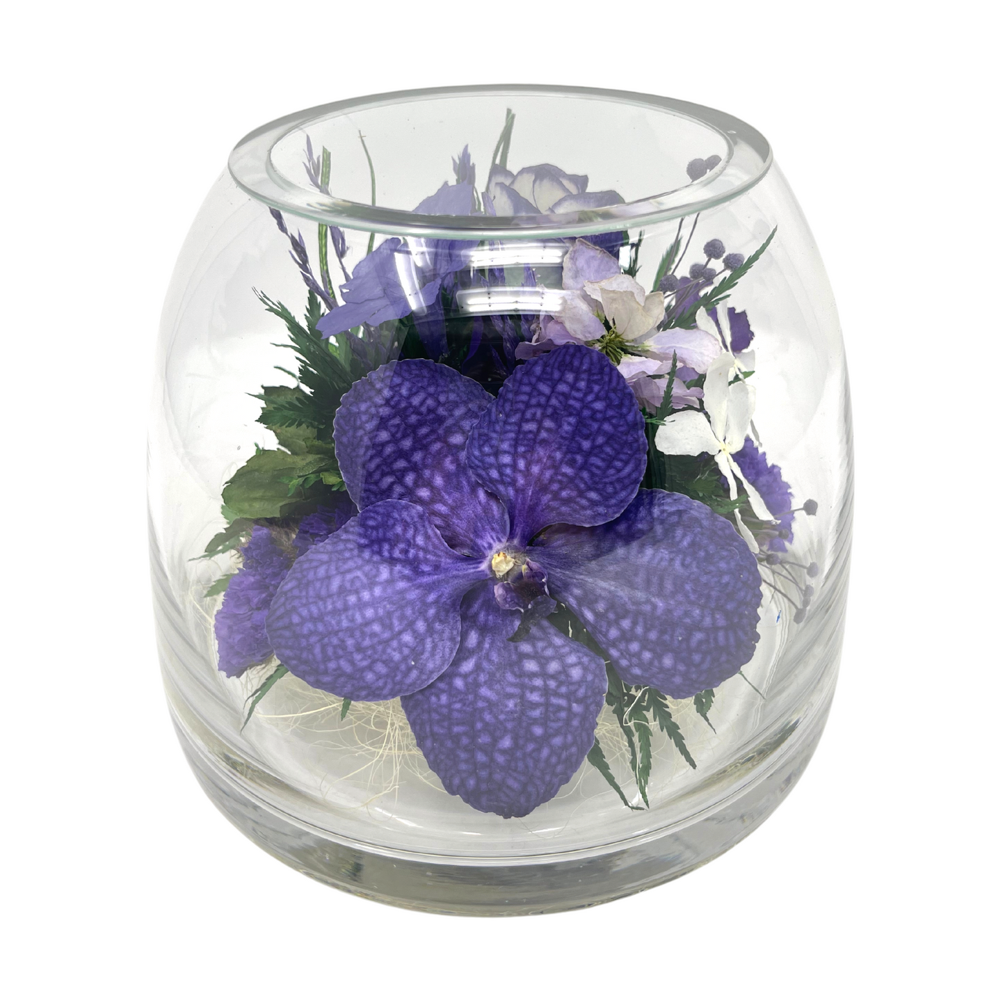 Fiora Flower | Long Lasting Orchids| Lasts up to 5 Years | No Water Need | Allergy Free | Odor Resistant | Unique Present Gift