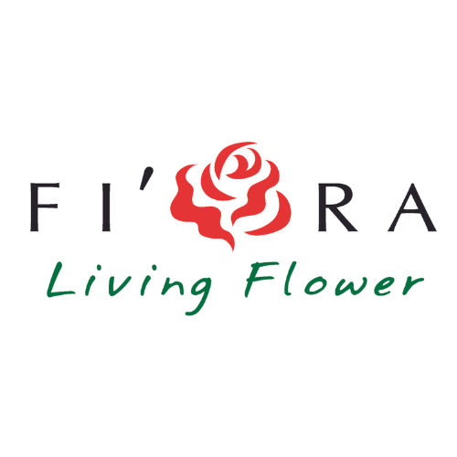 FIORA FLOWER