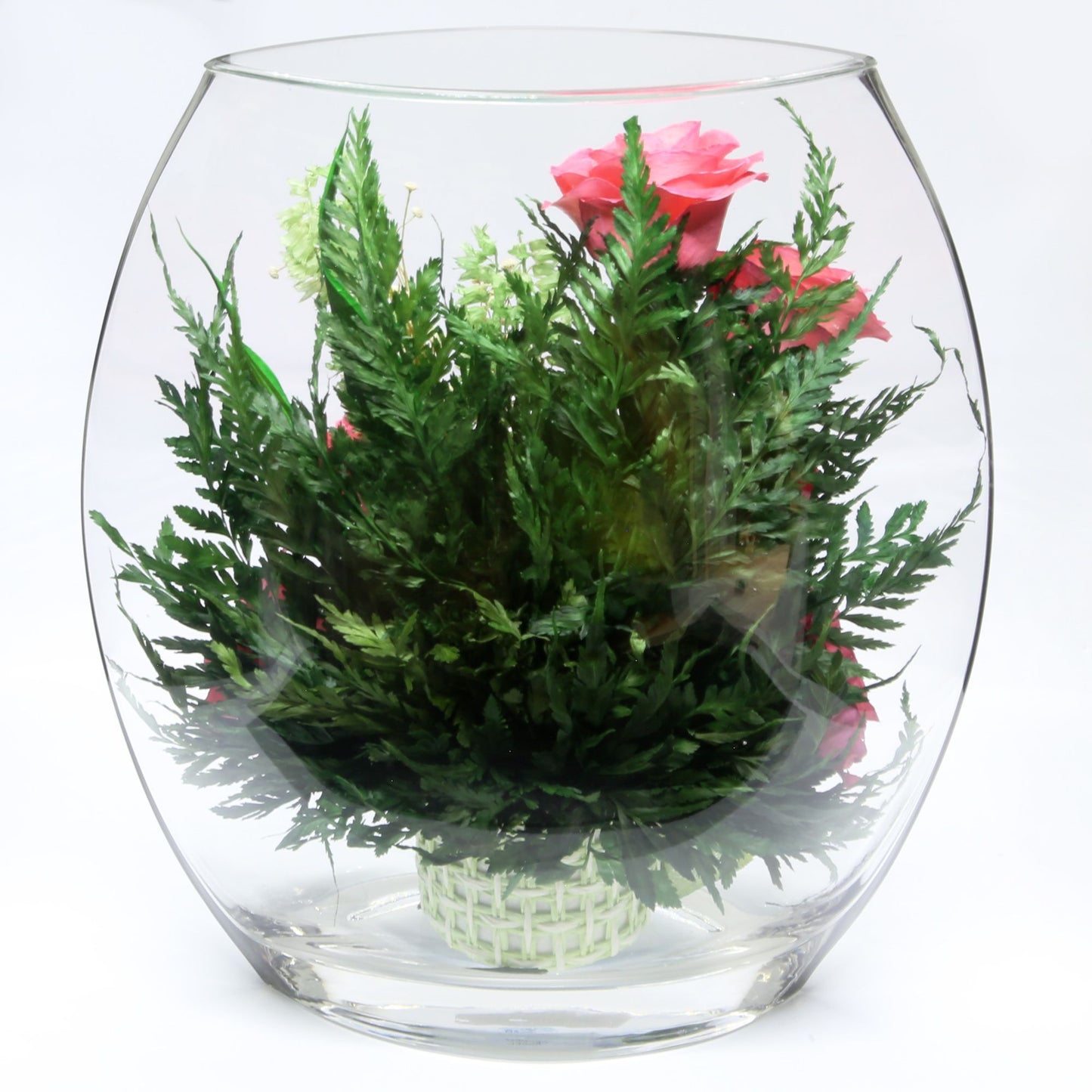 40339 Long-Lasting Pink Roses in a Sealed Glass Vase - FIORA FLOWER