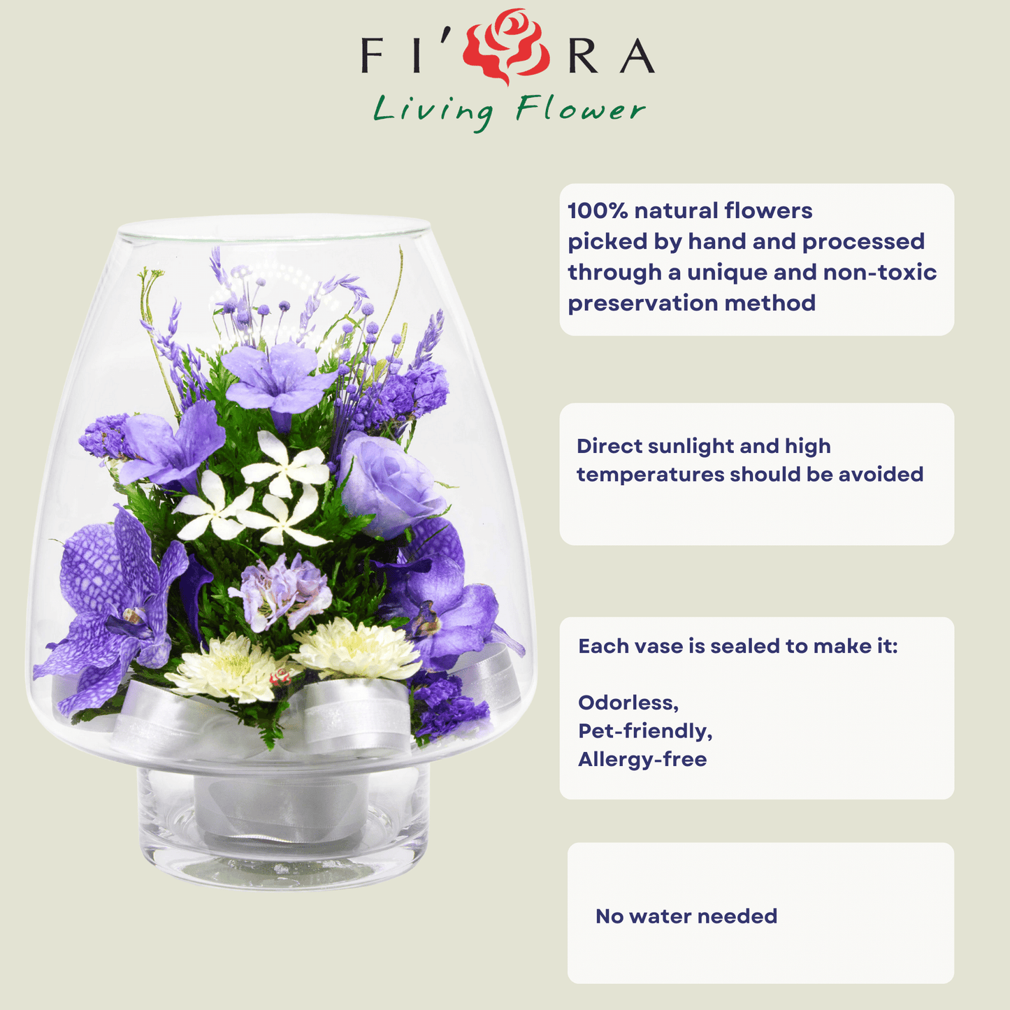 70259 Long-Lasting Orchids in a Lotus Bud Glass Vase