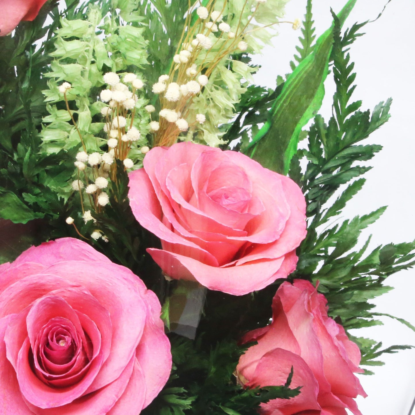 40339 Long-Lasting Pink Roses in a Sealed Glass Vase - FIORA FLOWER