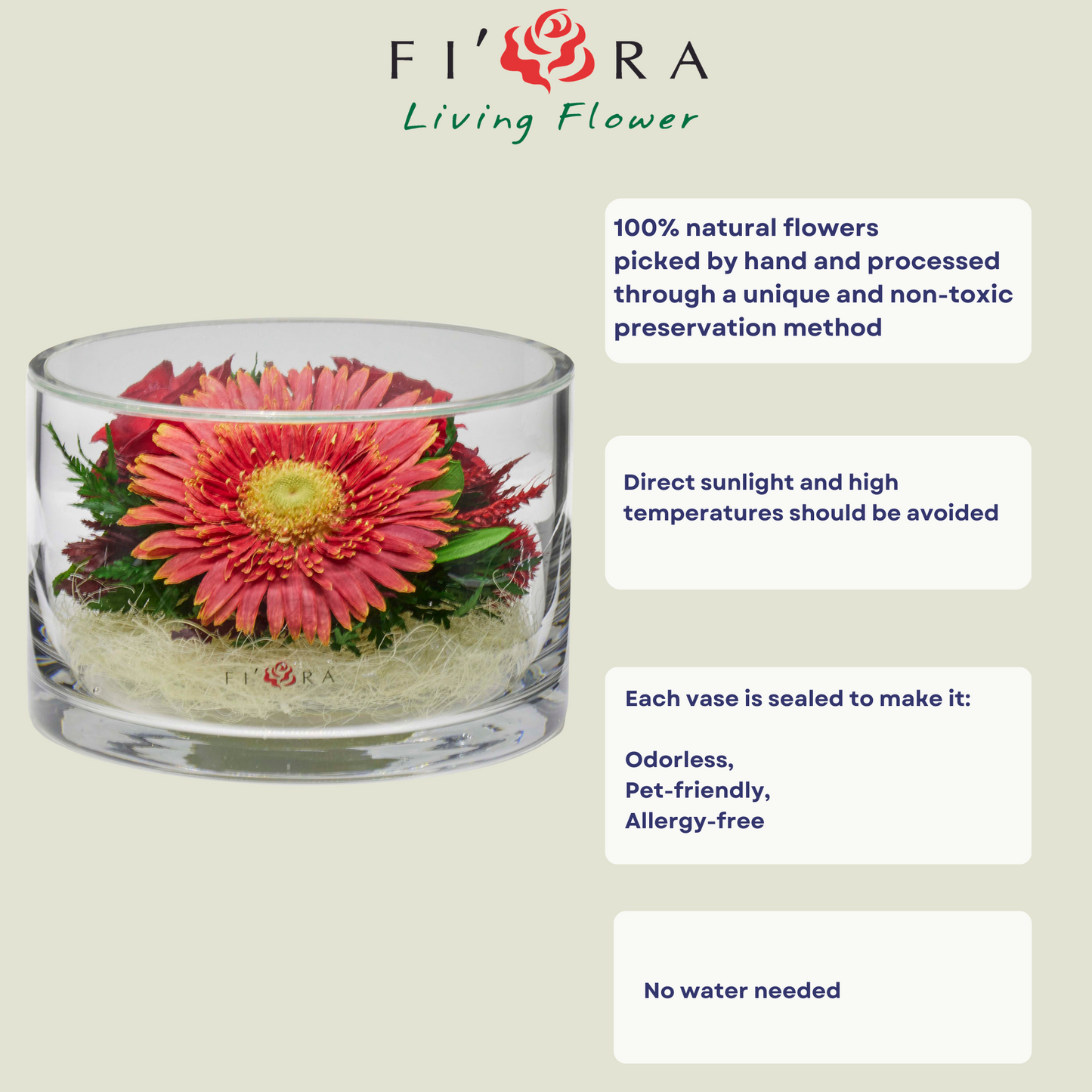 68478 Long-Lasting Rose and Gerbera in a Glass Vase