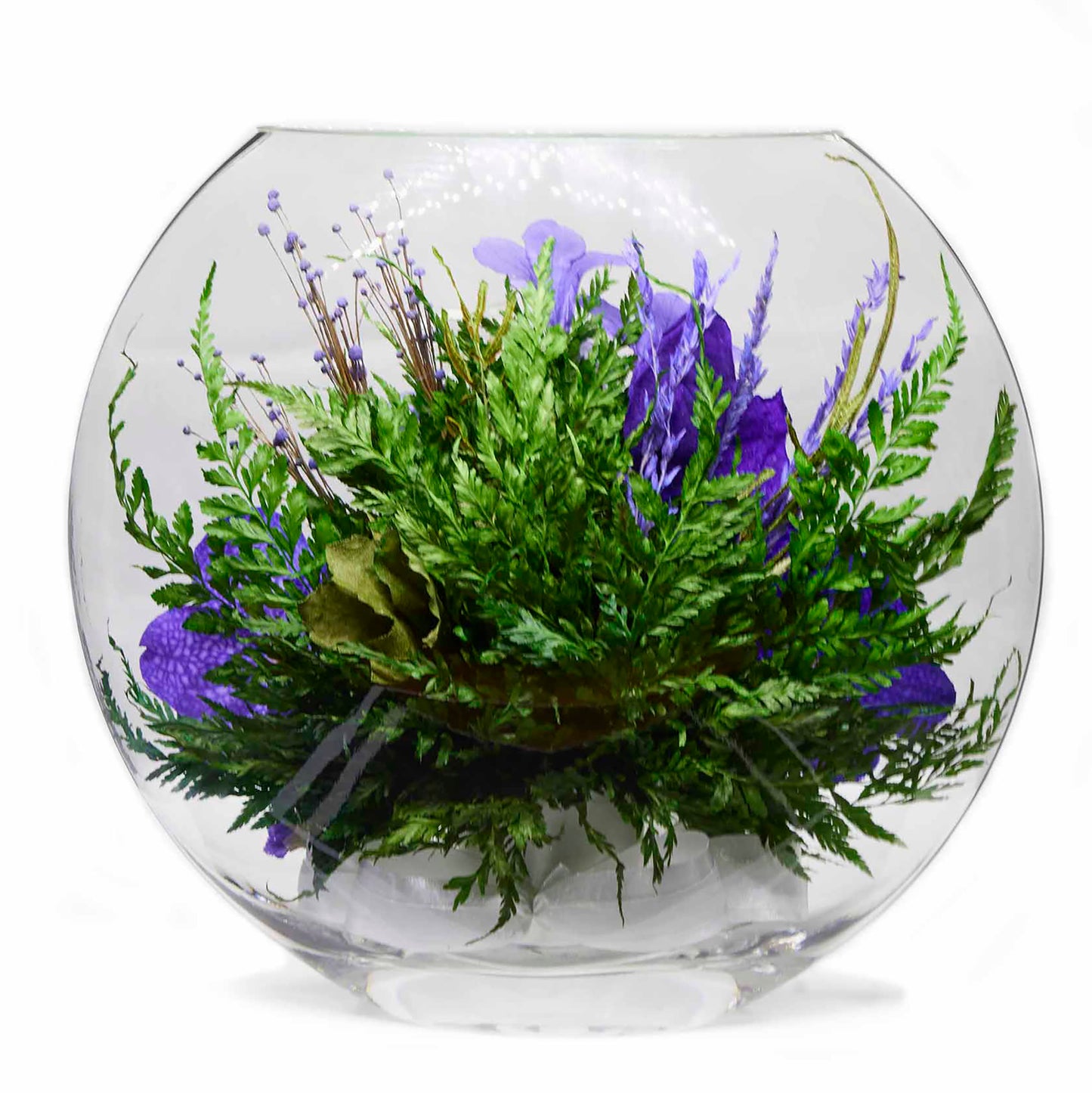 70266 Long-Lasting Orchids in a Large Glass Vase