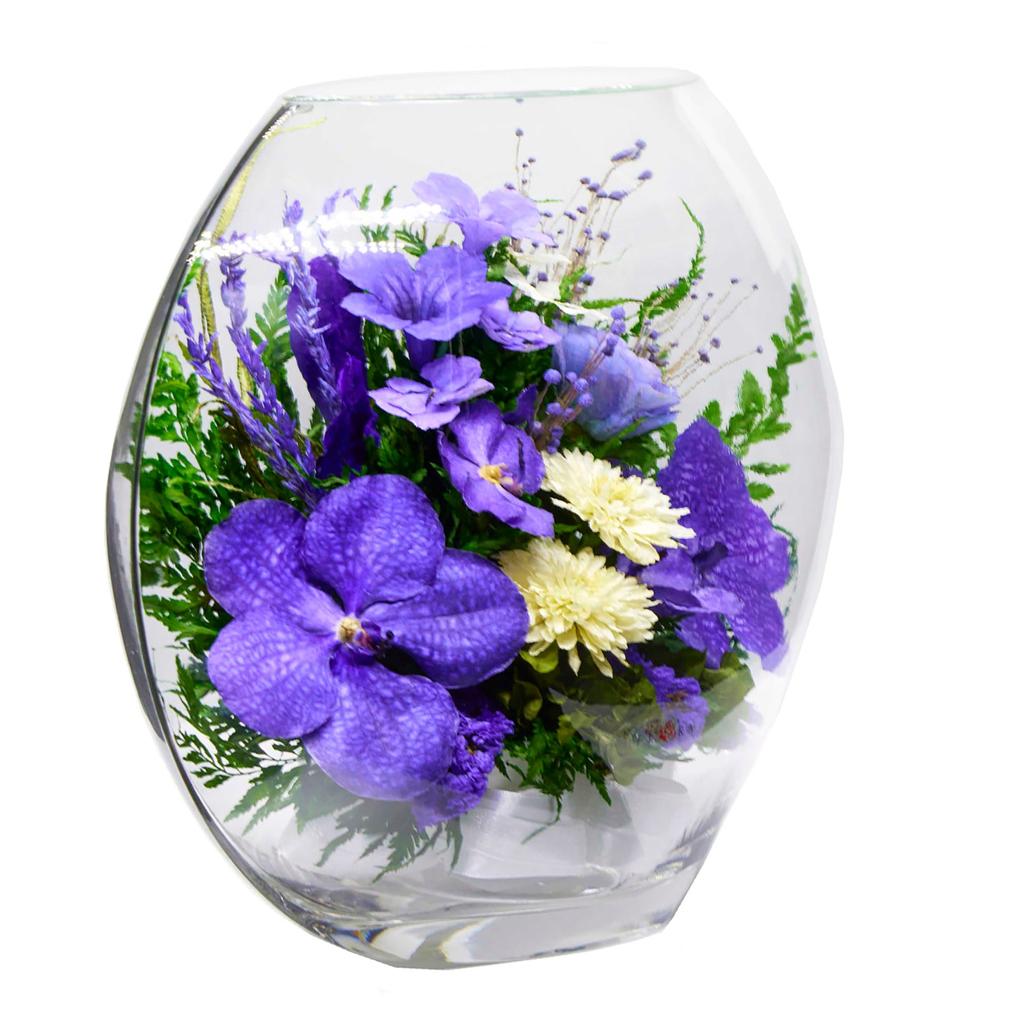 70266 Long-Lasting Orchids in a Large Glass Vase