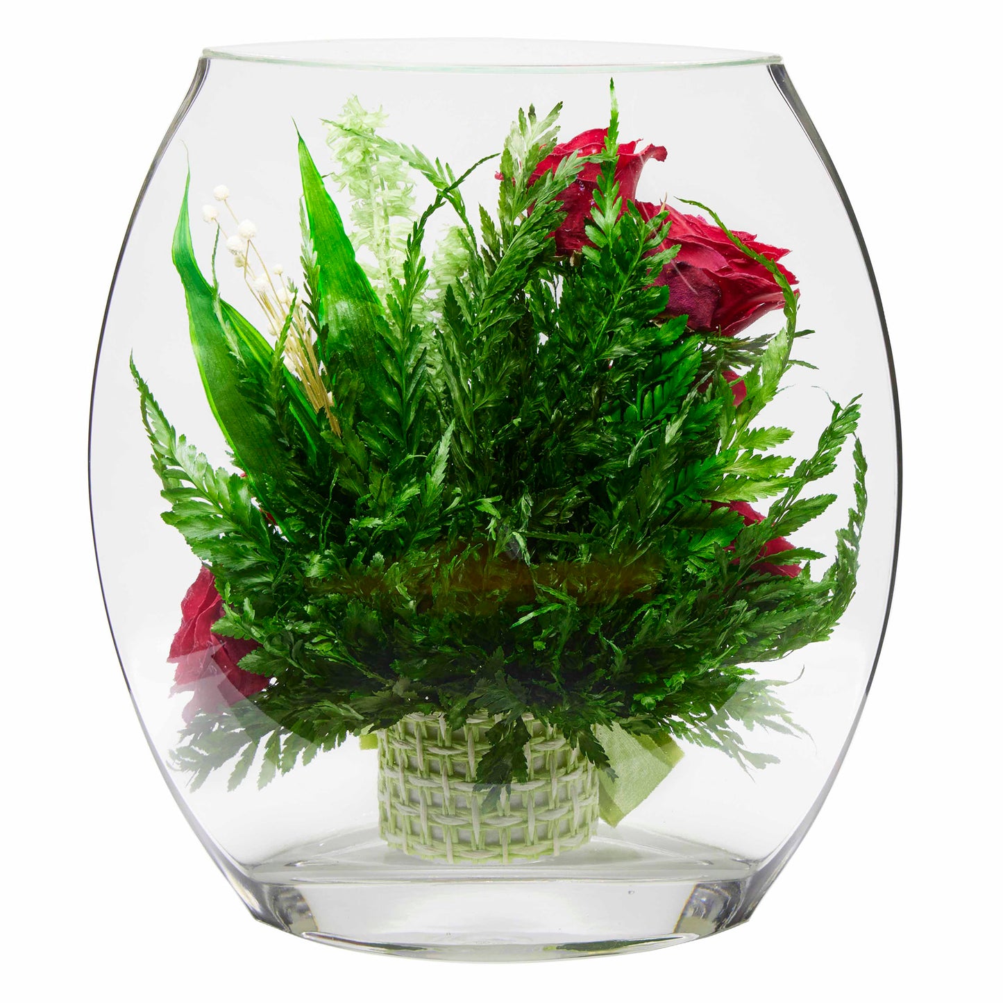 40689 Long-Lasting Red Roses in a Sealed Glass Vase