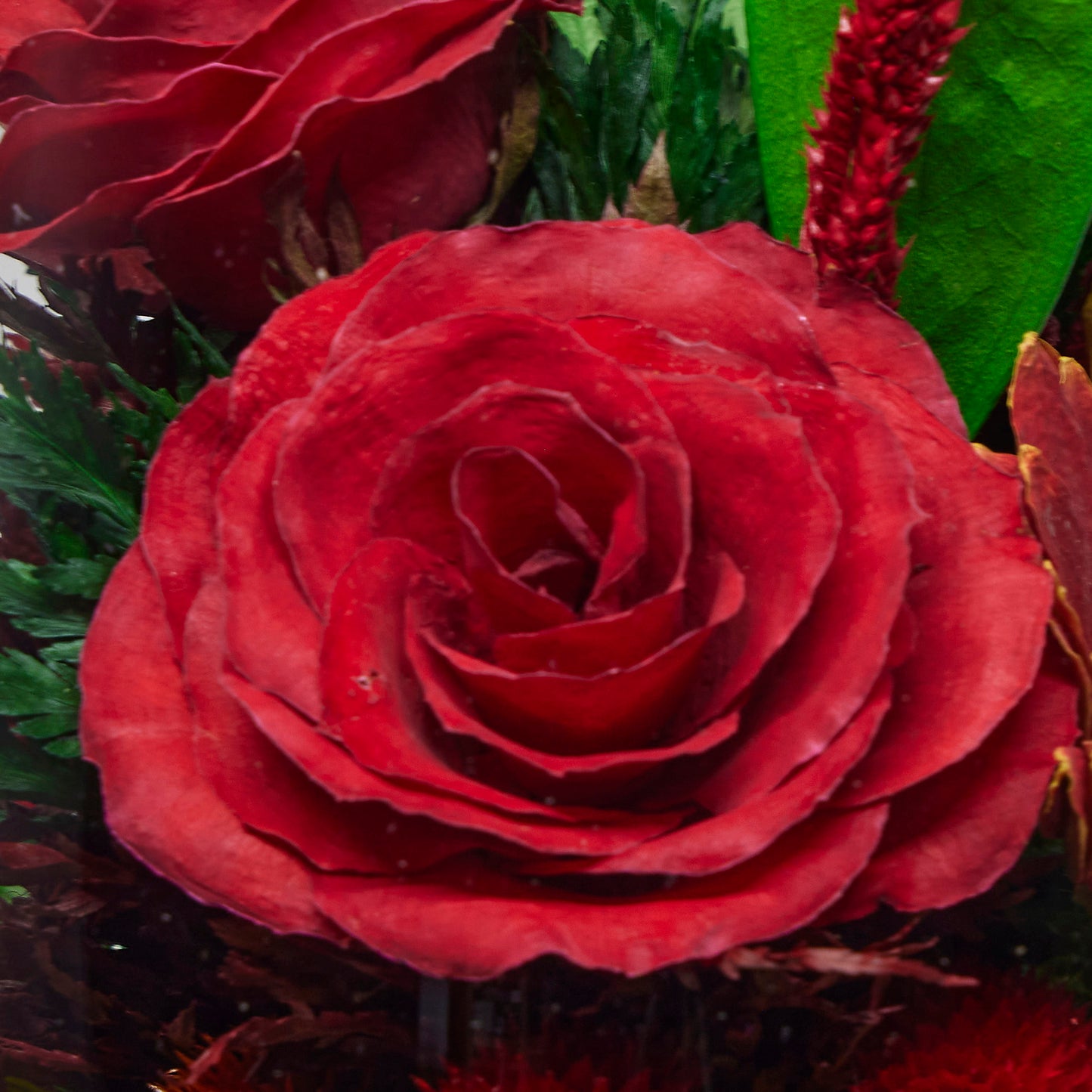 Luxurious Red Roses in Flat Rugby Glass Vase