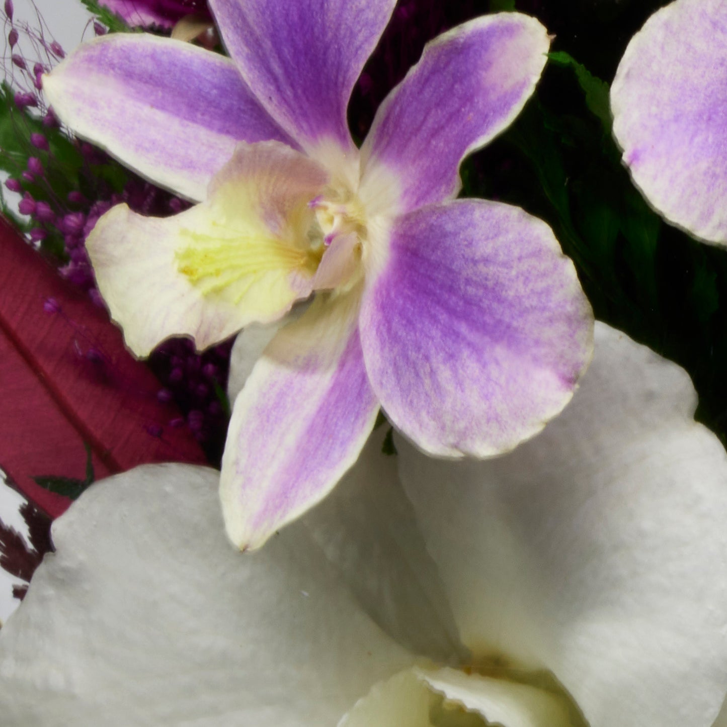 Elegant Purple Orchids and Limoniums in Rugby Glass Vase