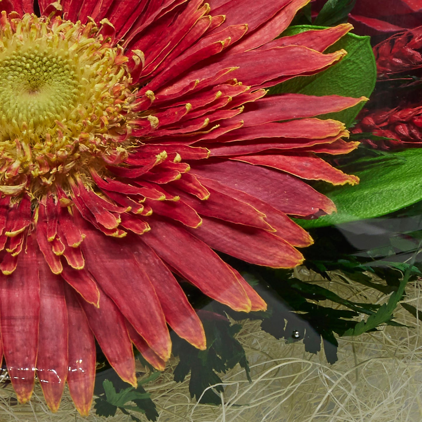 68478 Long-Lasting Rose and Gerbera in a Glass Vase