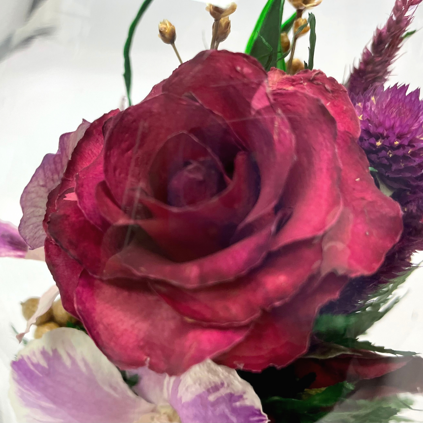 71836 Long-Lasting Roses and Orchids, in a Glass Vase