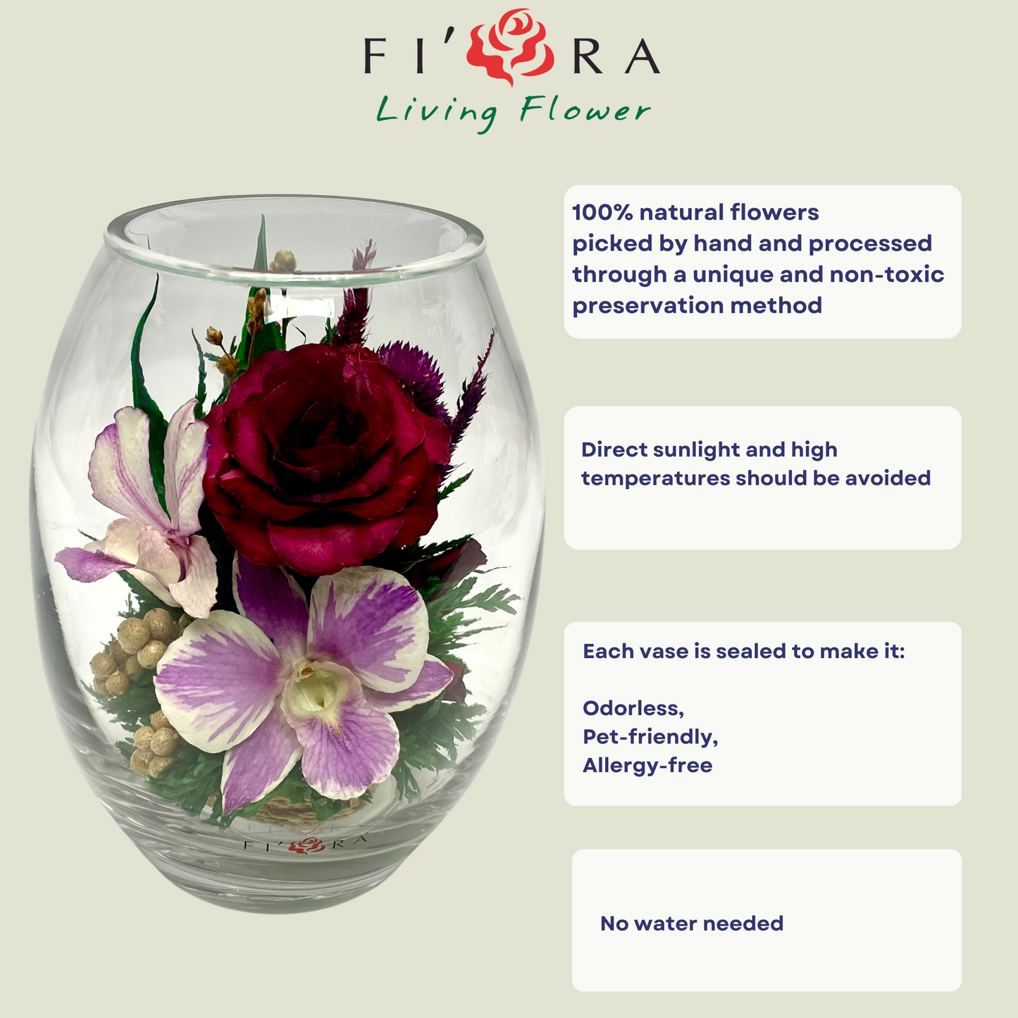 71836 Long-Lasting Roses and Orchids, in a Glass Vase