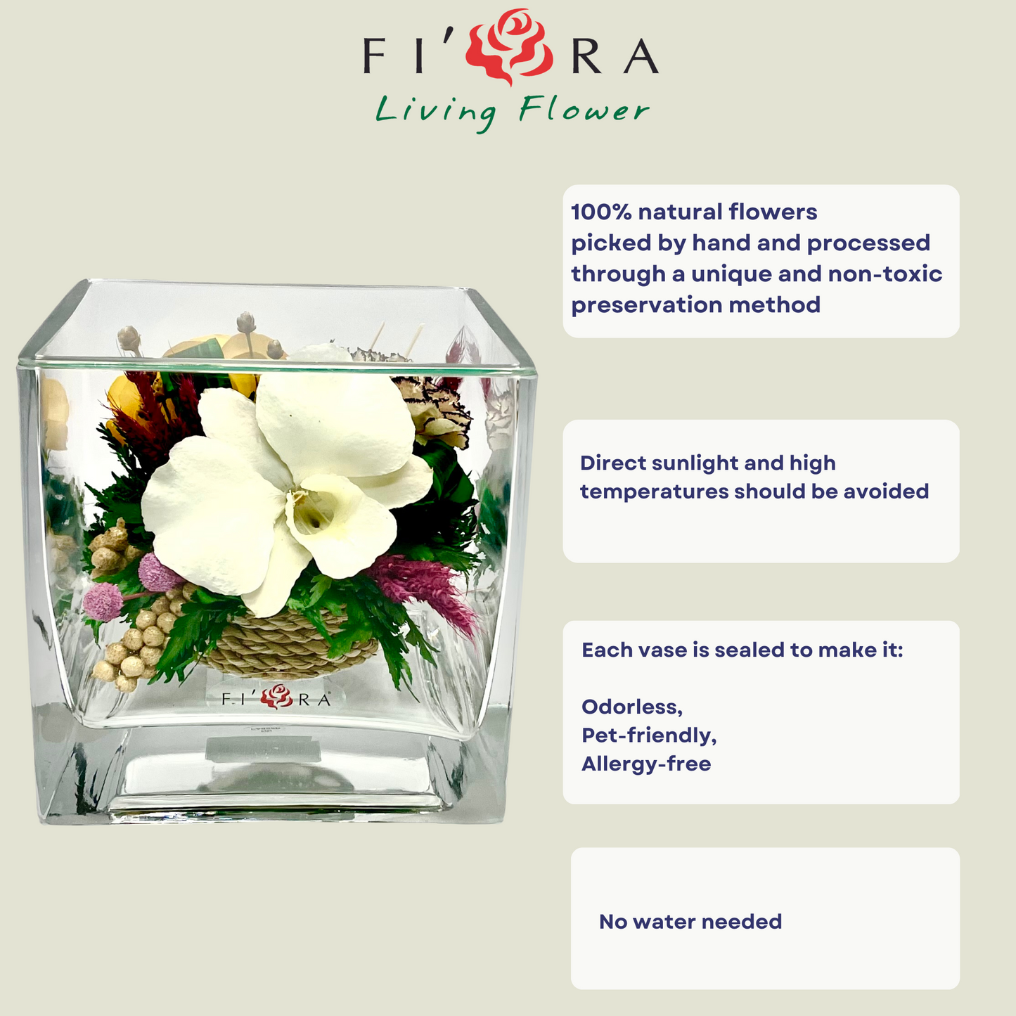 71881 Long-Lasting Yellow Rose and White Orchid in a Cube Glass Vase