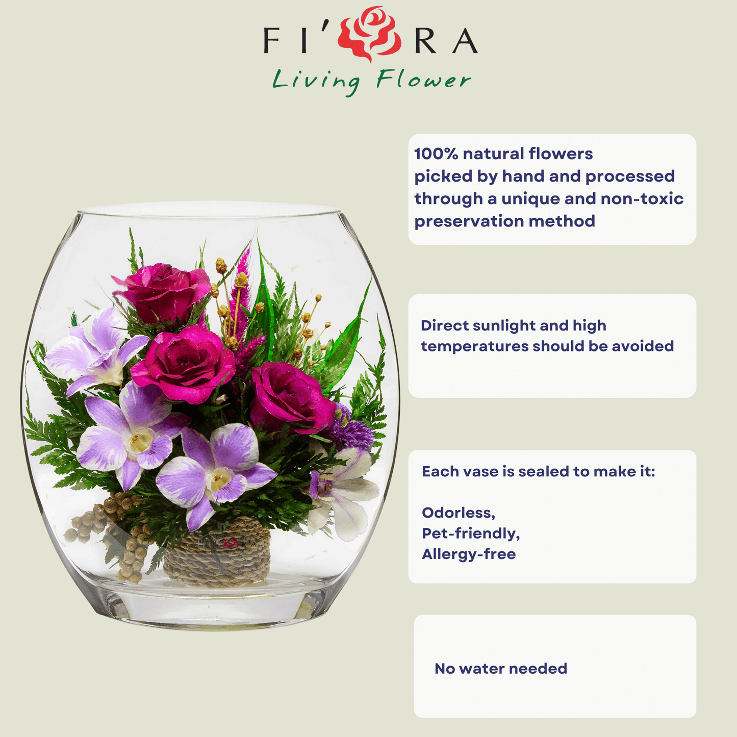 71331 Long-Lasting Purple Orchids and Roses in a Flat Rugby Glass Vase