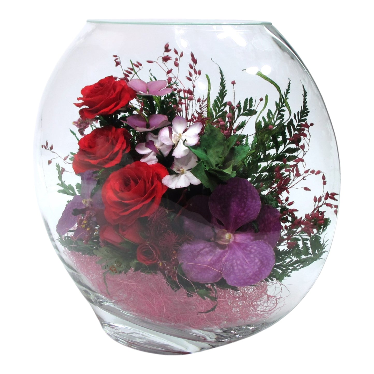 Enigma: Timeless Elegance with Premium Preserved Roses in Glass Vase – Lasts 5 Years, Perfect for Gifts and Decor