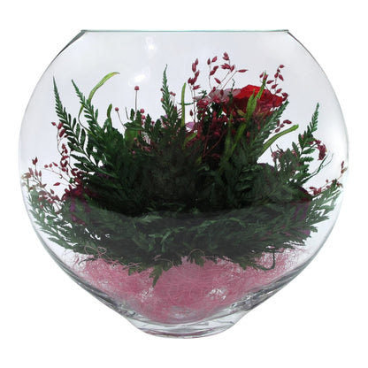 Enigma: Timeless Elegance with Premium Preserved Roses in Glass Vase – Lasts 5 Years, Perfect for Gifts and Decor