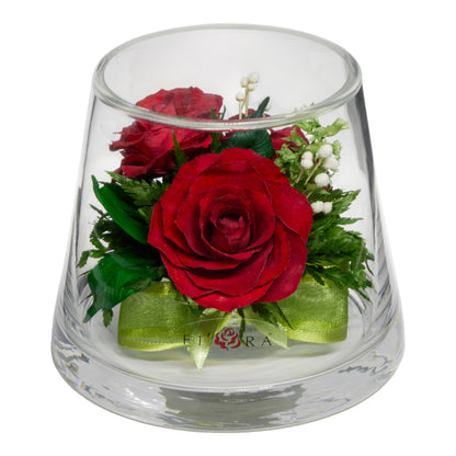 Timeless Red Roses in Taper-Up Glass Vase – Natural, Long-Lasting Elegance