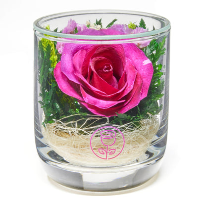 In Flores Veritas: Single Eternal Rose in Sealed Glass Vase - Lasts up to 5 Years - Unique Gift for Any Occasion