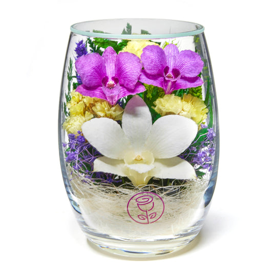 In Flores Veritas: Trio of Eternal Orchids in Glass-like Vase - Lasts up to 5 Years - Unique Gift for Any Occasion