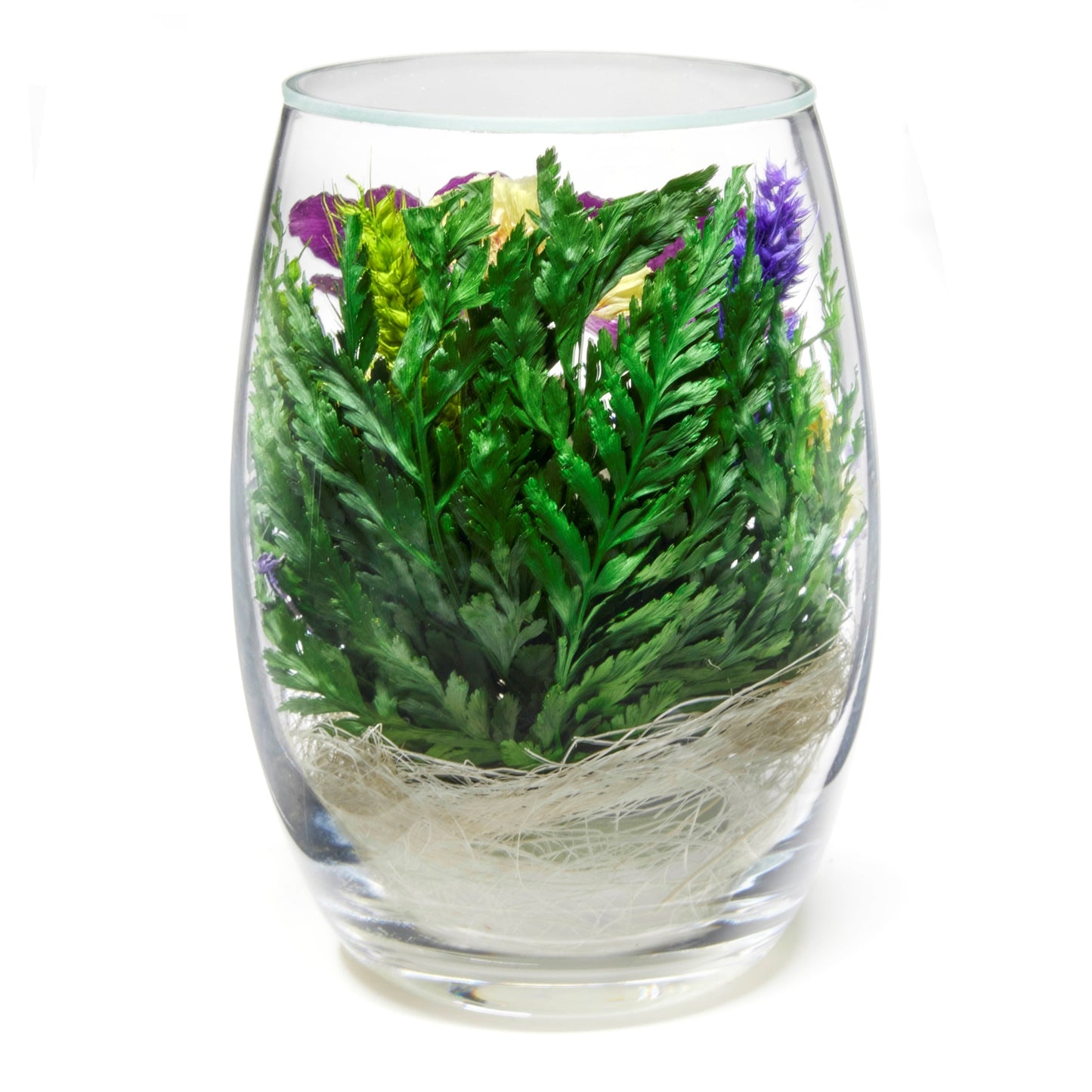In Flores Veritas: Trio of Eternal Orchids in Glass-like Vase - Lasts up to 5 Years - Unique Gift for Any Occasion