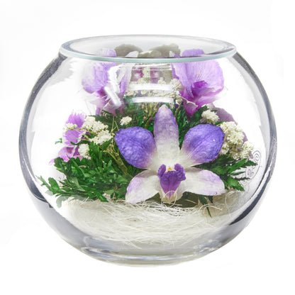 In Flores Veritas: Orchids in Sealed Glass Vase - Lasts up to 5 Years - Elegant Gift for Any Occasion