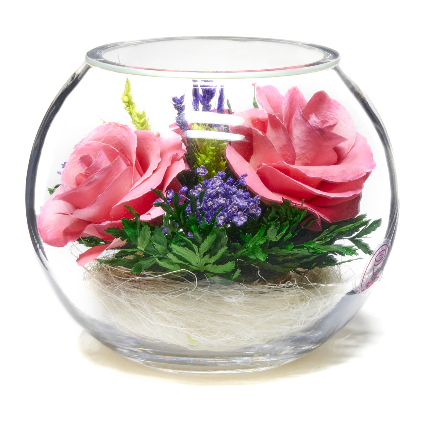In Flores Veritas: Trio of Eternal Roses in Bowl-like Vase - Lasts up to 5 Years - Elegant Gift for Any Occasion