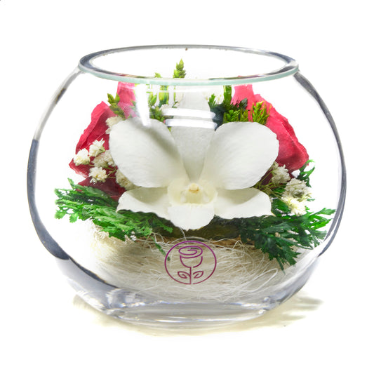 In Flores Veritas: Trio of Eternal Roses and Orchid in Bowl-like Vase - Lasts up to 5 Years - Elegant Gift for Any Occasion