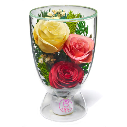 In Flores Veritas: Trio of Eternal Red Roses in Cup-like Vase - Lasts up to 5 Years - Elegant Gift for Any Occasion