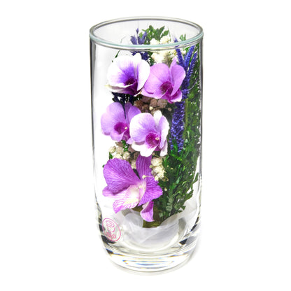 In Flores Veritas: Serenity Orchid Ensemble - Lasts up to 5 Years - Elegant Gift for Any Occasion