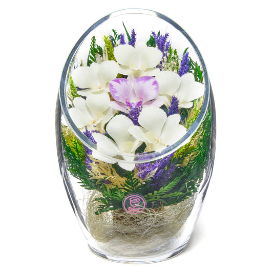 In Flores Veritas: Orchid Oasis Tilt Rugby Vase - Lasts up to 5 Years - Elegant Gift for Any Occasion