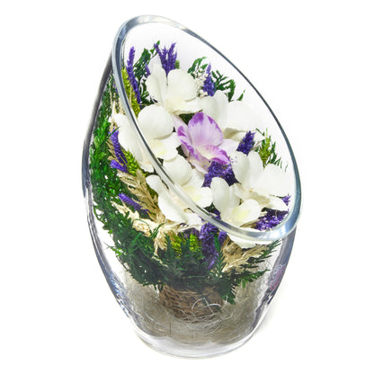 In Flores Veritas: Orchid Oasis Tilt Rugby Vase - Lasts up to 5 Years - Elegant Gift for Any Occasion