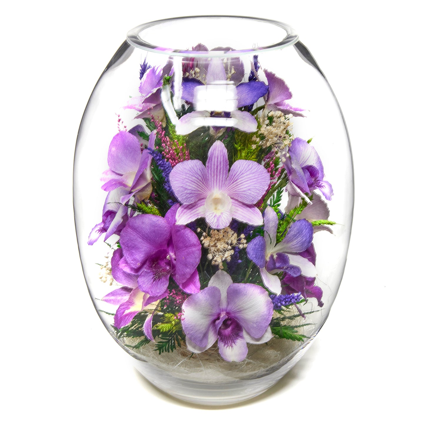 In Flores Veritas: Orchid Radiance Grand Vase - Lasts up to 5 Years - Elegant Gift for Any Occasion