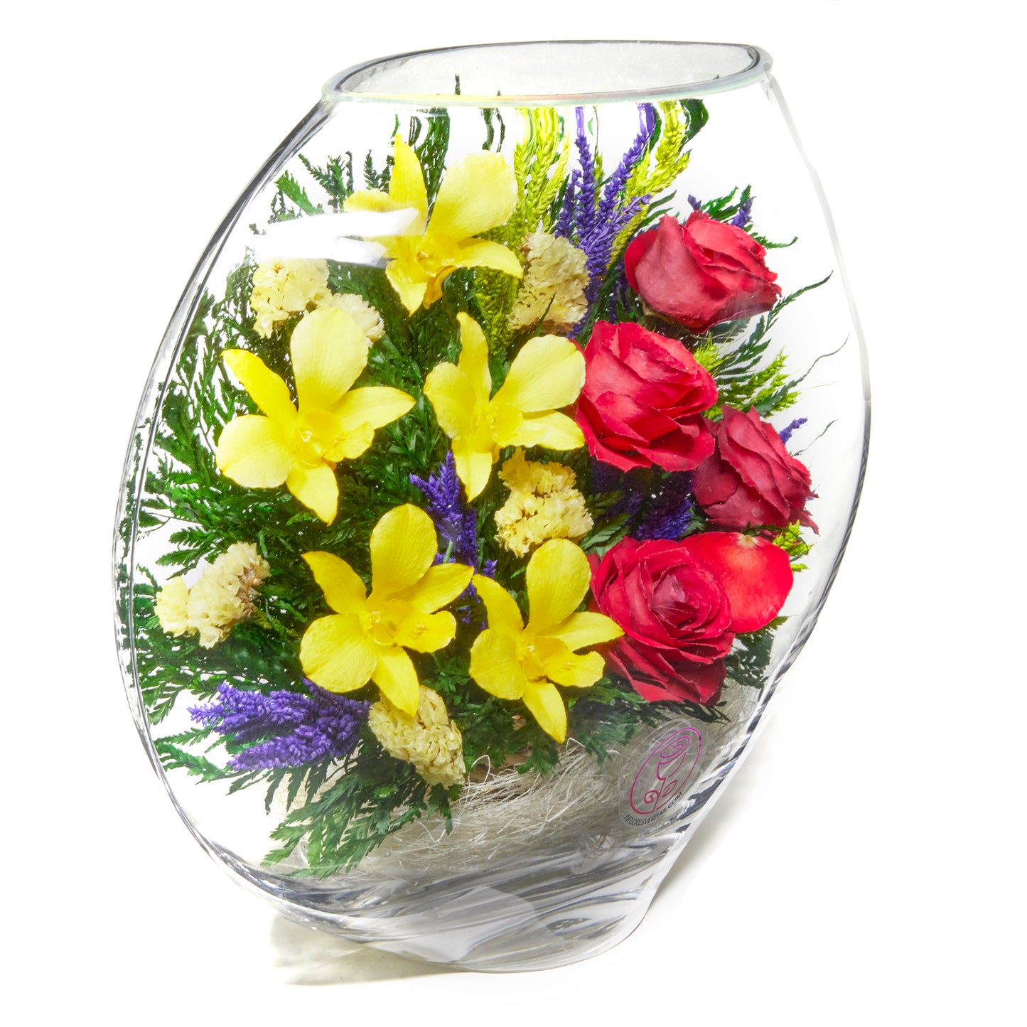 In Flores Veritas: Orchid Rose Harmony Ellipse Vase - Lasts up to 5 Years - Elegant Gift for Any Occasion
