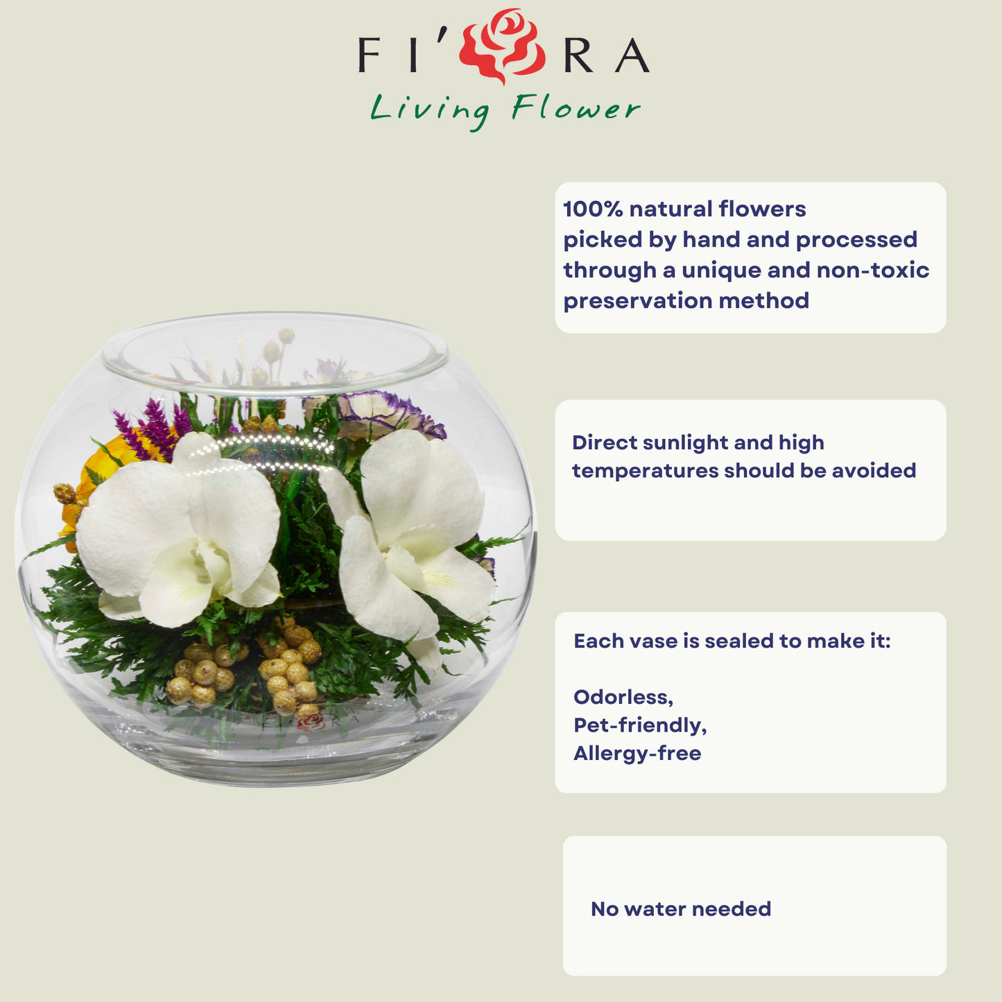 71874 Long-Lasting White Orchids and rose in a Round Glass Vase