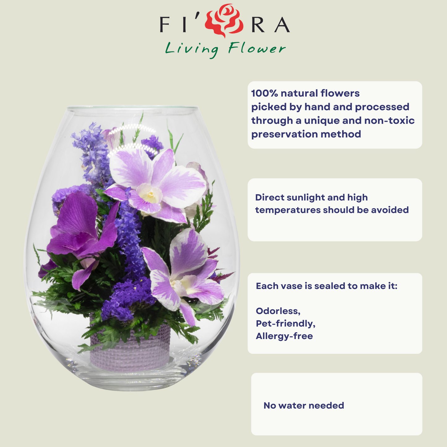 71850 Long-Lasting Purple Orchids in a Droplet Glass Vase