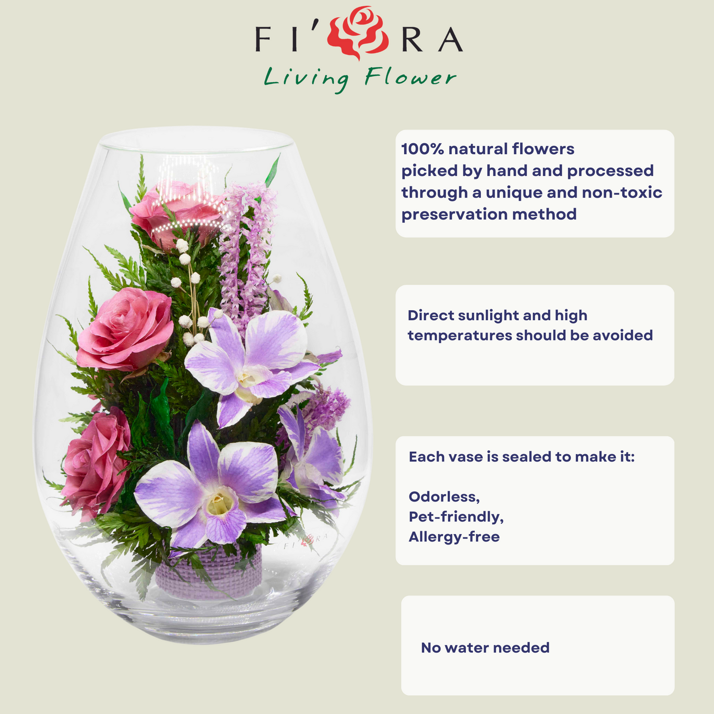 71843 Long-Lasting Pink Roses, Purple-Striped White & King Dragon Orchids in a Droplet Glass Vase