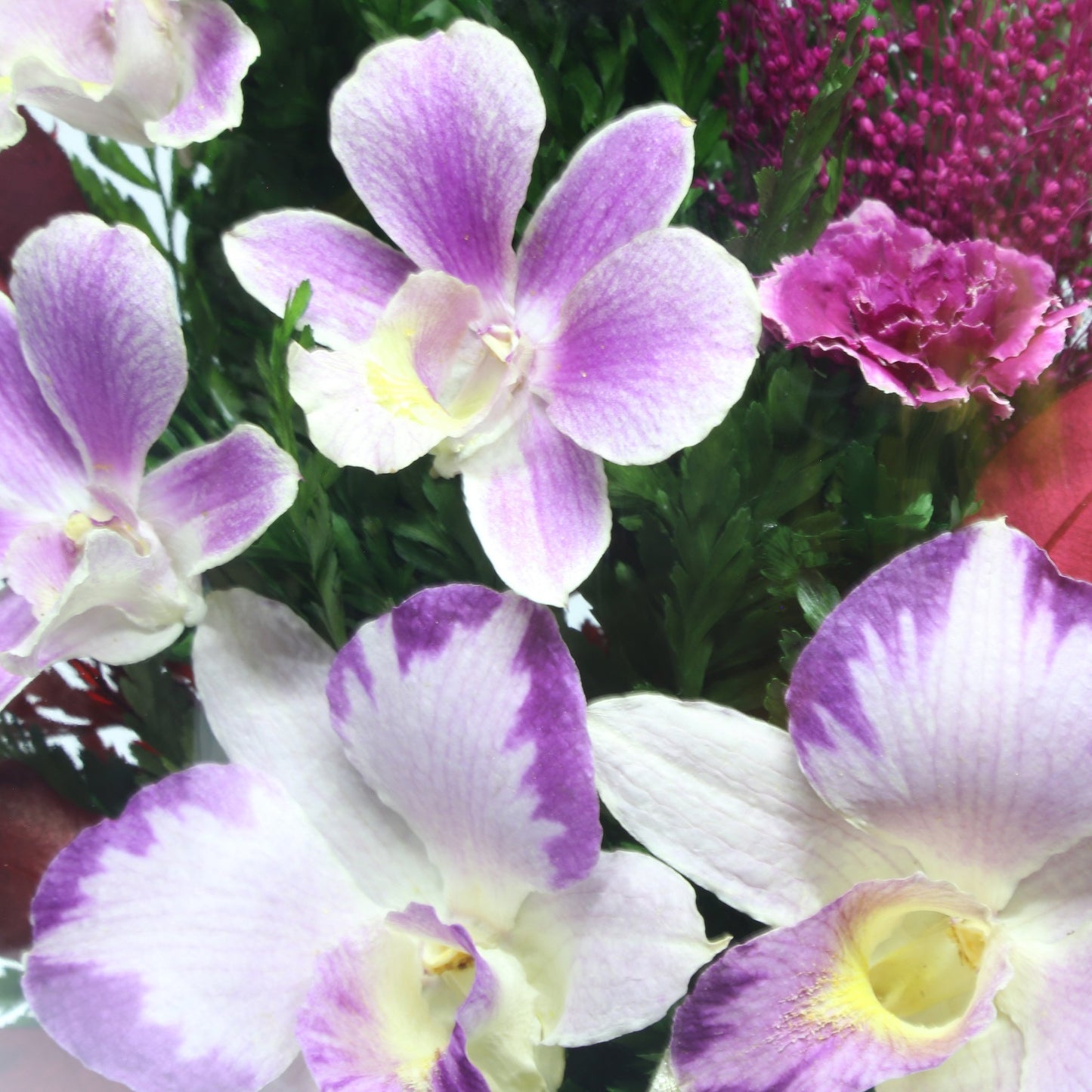 35753 Long-Lasting Purple Orchids,  Limoniums with Greenery in a Flat Rugby Glass Vase - FIORA FLOWER