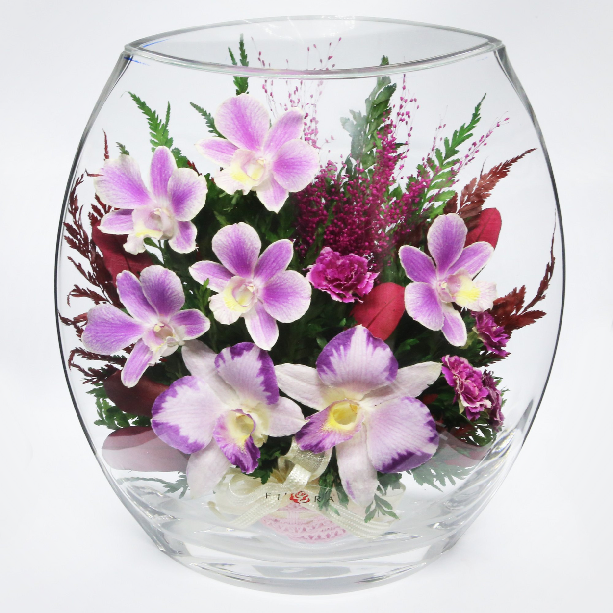 Fiora Flower | Long Lasting Orchids| Lasts up to 5 Years | No