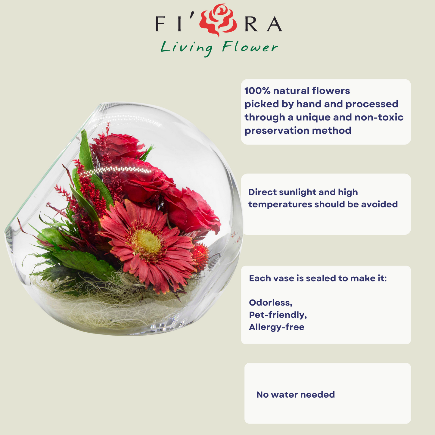 68614 Long-Lasting Roses and Gerbera in a Glass Vase