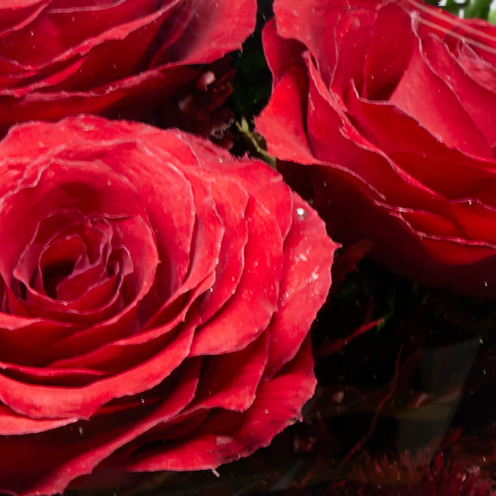 Handmade Flowers Fresh Roses and Gerbera in a newest Glass Vase 68614