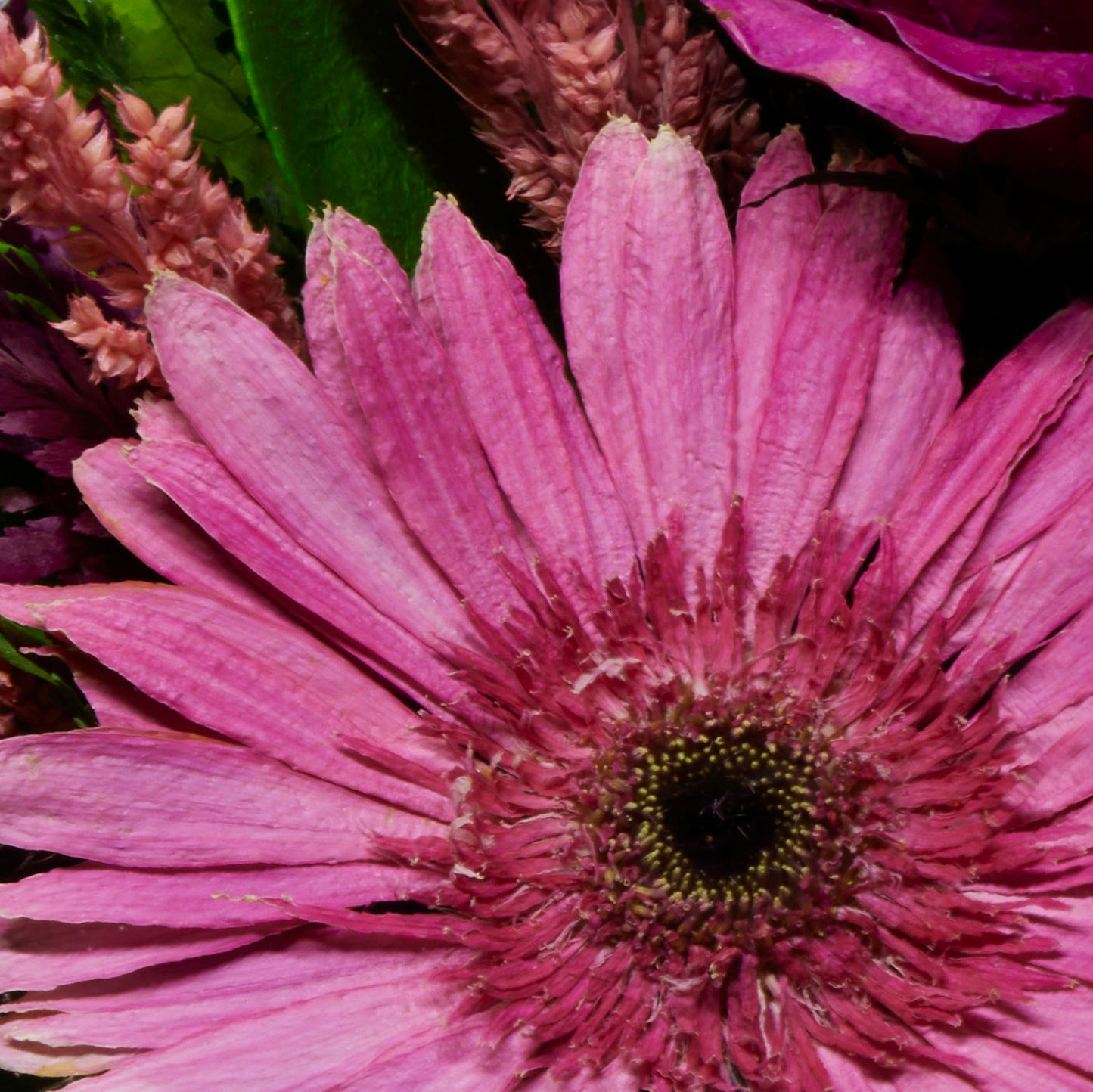 69253 Long-Lasting Roses and Gerbera in a Glass Vase