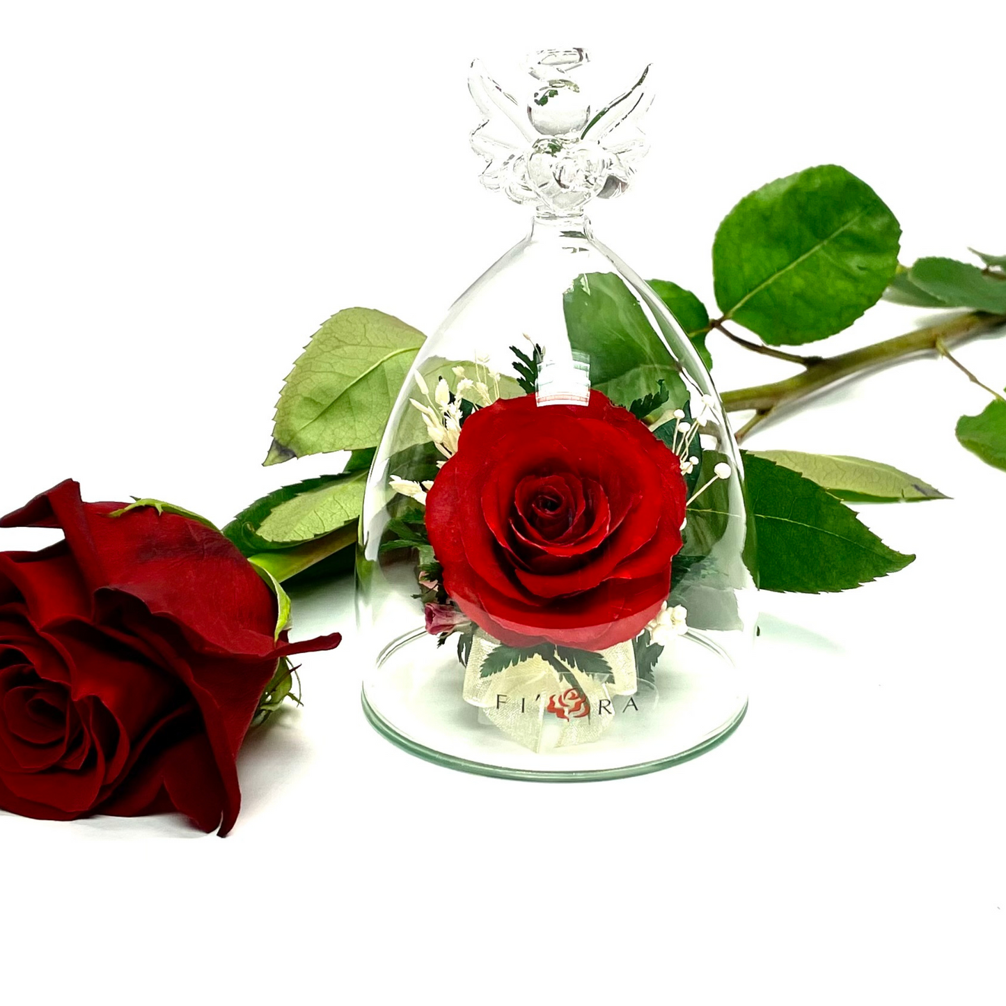 67341 Long-Lasting Red Rose in a Angel Shaped Glass Vase
