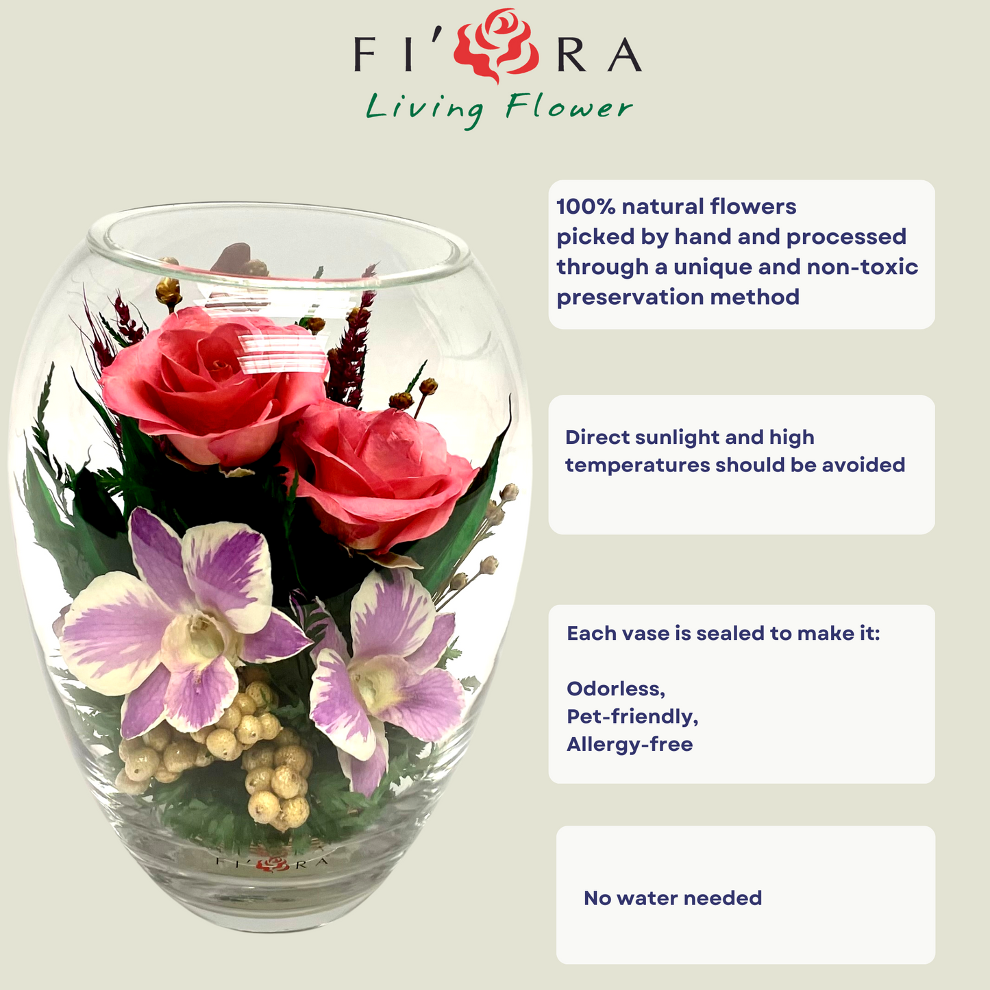 71867 Long-Lasting Pink Roses and Orchids in a Elliptical Glass Vase