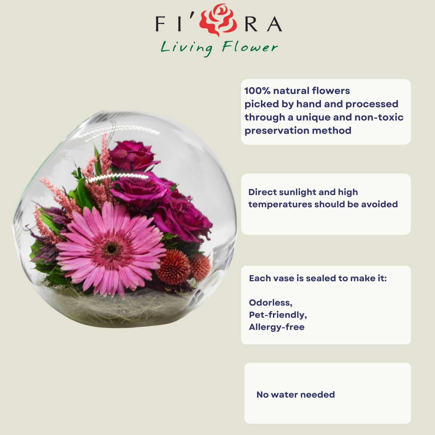 69253 Long-Lasting Roses and Gerbera in a Glass Vase